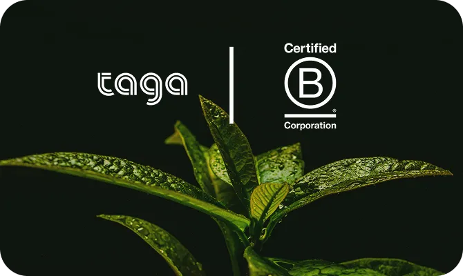 B Corp (Benefit Corporation)